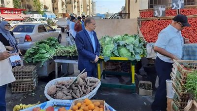 حملات مكبرة لإزالة الإشغالات والمخالفات ببورسعيد | صور 