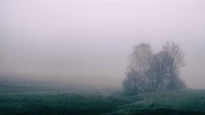 كيف تؤثر الشبورة المائية على المحاصيل الزراعية؟