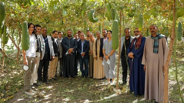 تكريم مزارعي اللوف