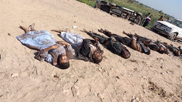 12 عنصر اجرامي 