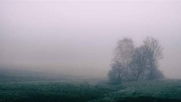 تأثير الشبورة المائية