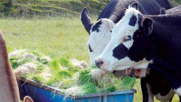 تأثير التغيرات المناخية