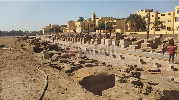 كباش الكرنك 