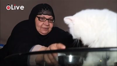 تحتضن 215 قطة بمنزلها.. الحاجة أميرة: لازم نتقي الله في الروح اللي ادهالنا