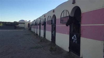 إسطبل حضاري بديل العشوائية الموجودة بالقرب من الأهرامات.. ما القصة؟