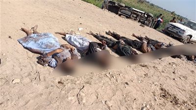 منهم 7 ينتمون لقرية واحدة.. ننشر أسماء 12 عنصرًا إجراميًا بأسوان