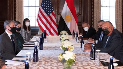 شكري يؤكد لنظيره الأمريكي ضرورة استئناف مفاوضات سد النهضة في أسرع وقت