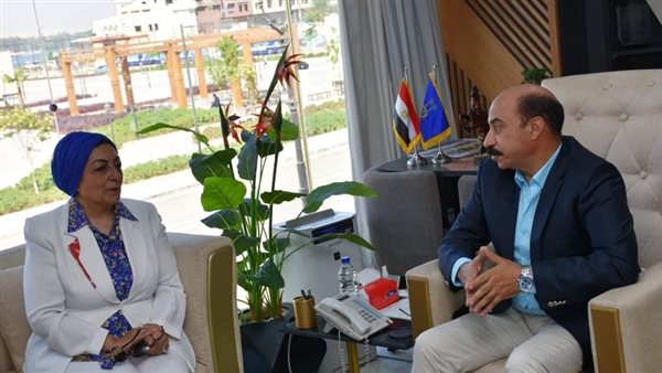 محافظ أسوان