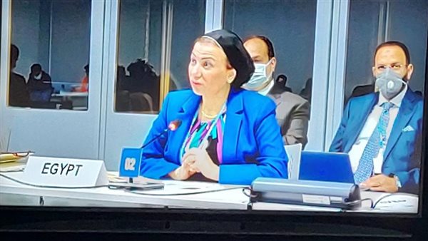 وزيرة البيئة 