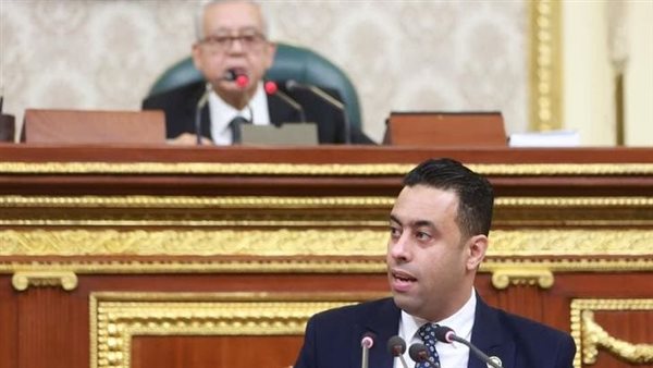 النائب أحمد فرغلي