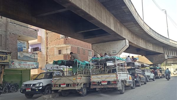 مواقف سيارات عشوائية