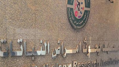 معهد أمراض النباتات ينظم برنامجا تدريبيا للنهوض بالزراعة المصرية وزيادة الإنتاجية
