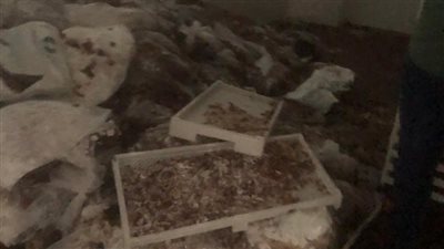 التموين: ضبط 3 مصانع حلوى أطفال في الشرقية