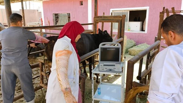 جانب من الدورة التدريبية