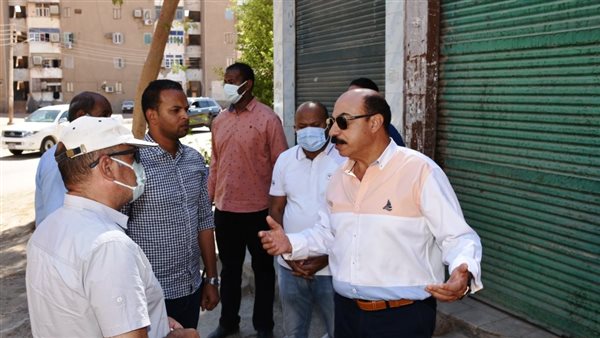 محافظ أسوان