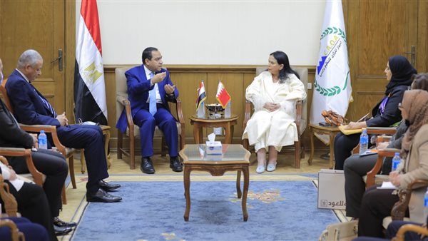 التنظيم والإدارة