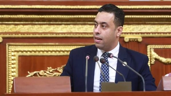 النائب أحمد فرغلي