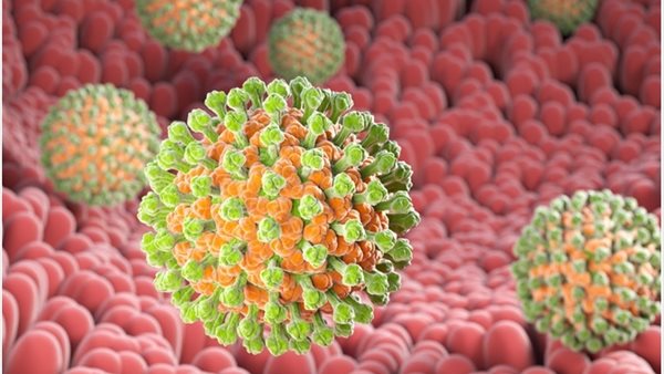 فيروس الروتا 