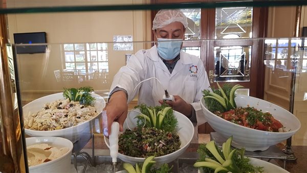 شركات دولية متخصصة