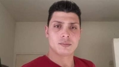 برلماني يبحث مع سفير ليبيا بالقاهرة عودة المصريين المصابين في حادث سير