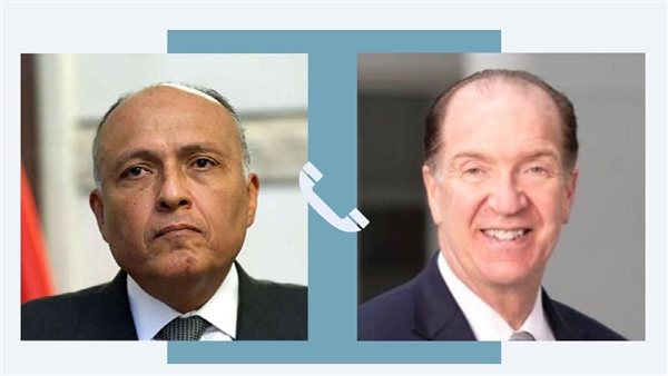 سامح شكري وديفيد