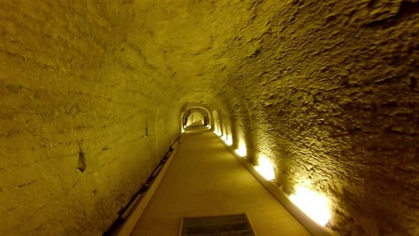 السيرابيوم