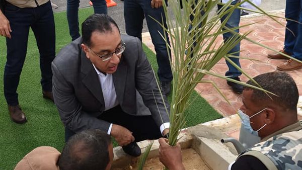  مصطفى مدبولي رئيس