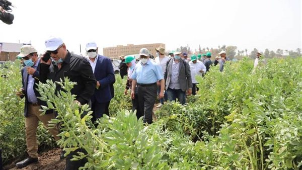 أعضاء بالمعمل المركزي