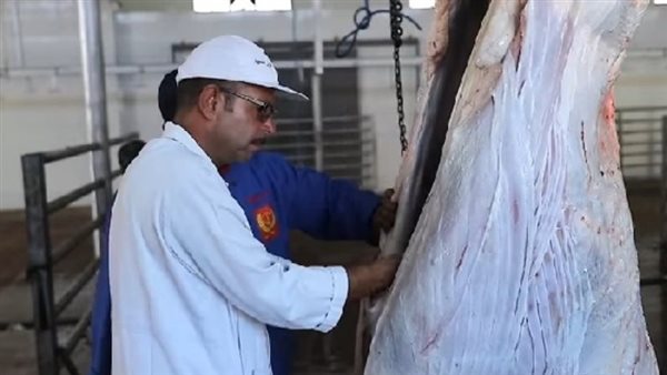 المجزر الألي ببورسعيد