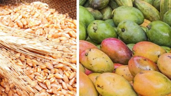 تأثر المحاصيل بالتغيرات