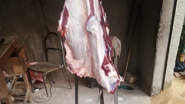 حملة تموينية في الفيوم