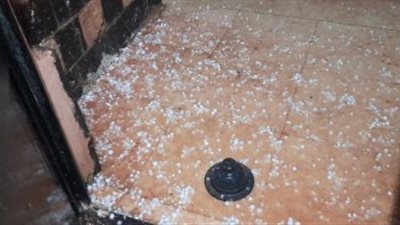 بسبب الأمطار الغزيرة بأسوان.. ارتفاع عدد الحالات المصابة بلدغات العقارب إلى 100