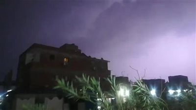 بسبب الأمطار.. إصابة 80 حالة بلدغات العقارب بأسوان