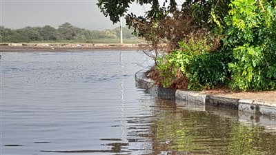 تجمعات مياه كبيرة في بعض المناطق بعد موجة الأمطار الغزيرة بأسوان | صور