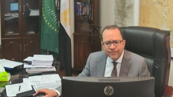 محمد جاد، سفير مصر