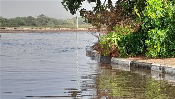 تراكمات المياه