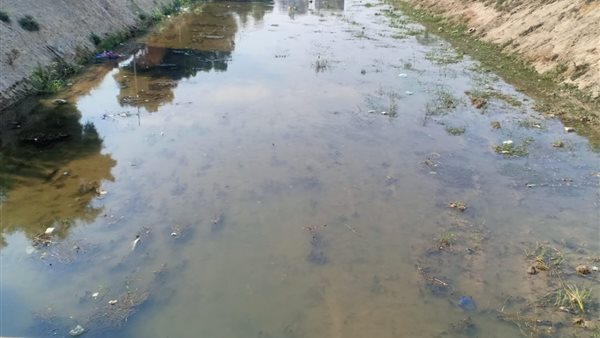 مخر سيل المعنا