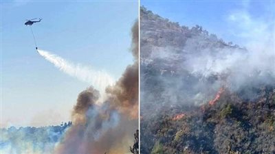 اندلاع حرائق ضخمة في الأراضي الزراعية شمال سوريا │ صور