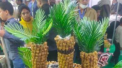 ختام فعاليات مهرجان التمور بالواحات البحرية.. والغرفة التجارية بالجيزة تعلن تنظيمه سنويا