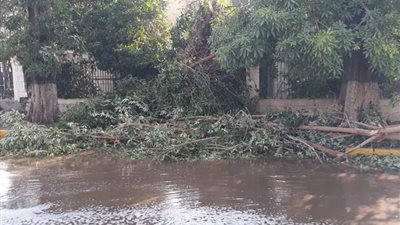 طلبت سفر مدبولي والوزراء إلى أسوان.. برلمانية تتقدم ببيان عاجل بشأن كارثة السيول