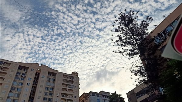 طقس الإسكندرية اليوم