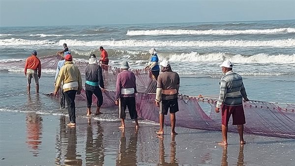 إنتظام حركة الصيد