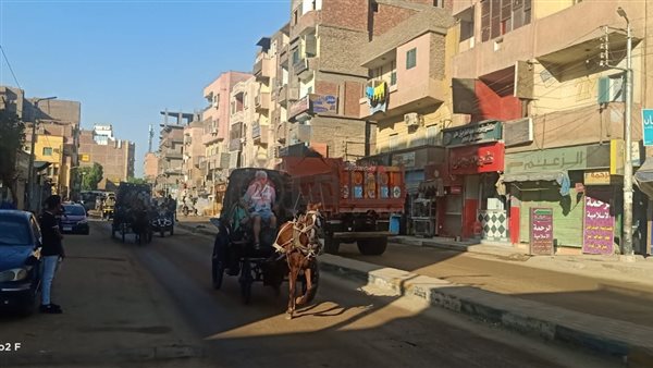 نشاط ملحوظ لعودة