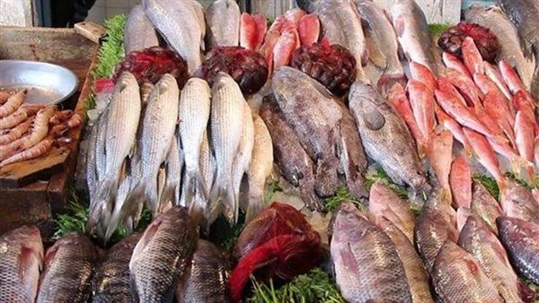 تباين أسعار الأسماك اليوم الخميس 20 أبريل 2023