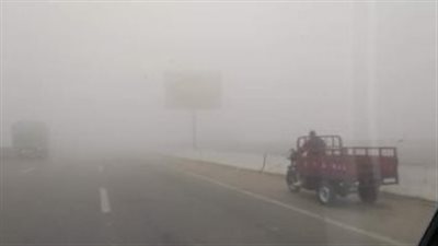 أمطار وشبورة كثيفة.. الأرصاد تكشف تفاصيل الأحوال الجوية غدا الاثنين