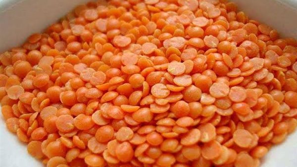 عدس - أرشيفية 