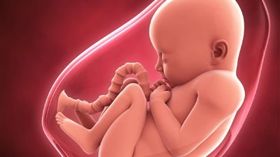 دعاء حفظ الجنين من التشوهات.. يا مقدر المقادير أسألك أن تيسر لي الحمل