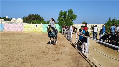 لأول مرة بمصر.. الغردقة التعليمية تنظم بطولة للفروسية بمشاركة 97 لاعبًا ولاعبة | صور