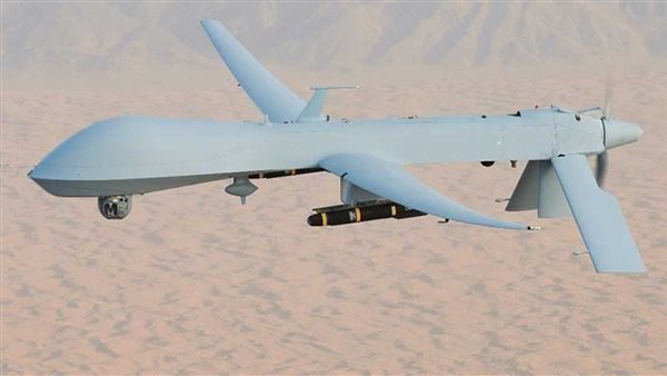 تحالف دعم الشرعية