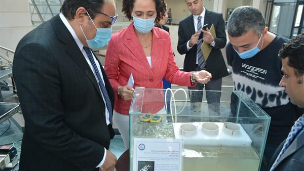 ورشة العمل التعليم